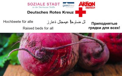 Hochbeete für Alle!